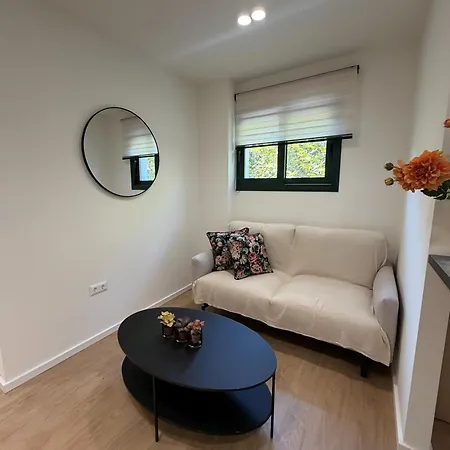 Pandemi Luxury Living Apartment